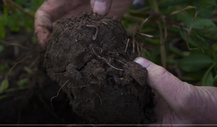 hands with soil