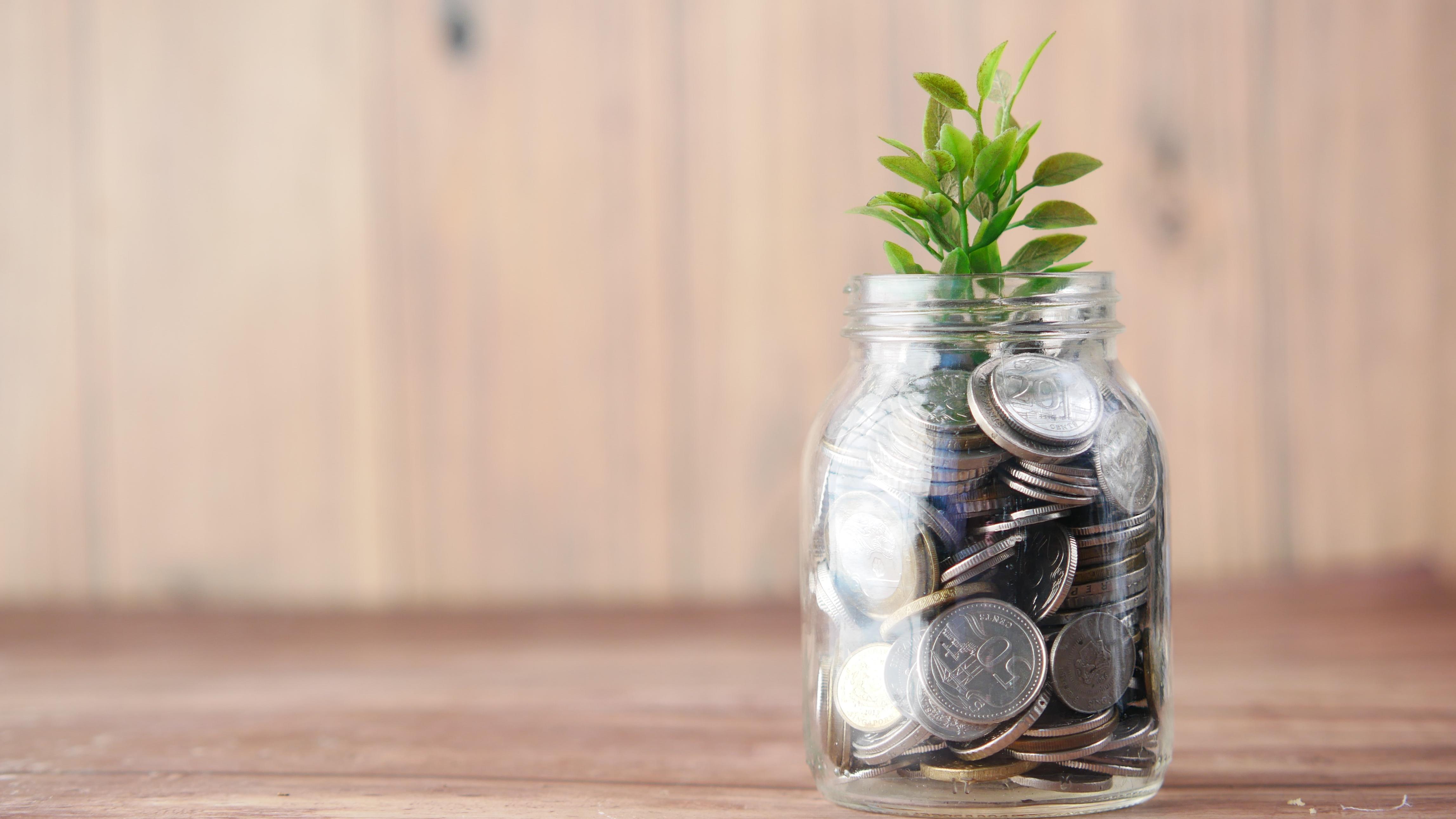 coins in jar with plant